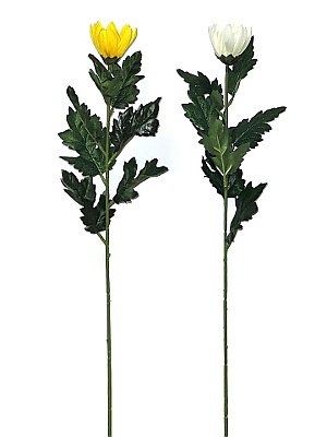 マム 菊の造花
