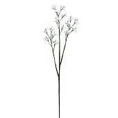 ݑ