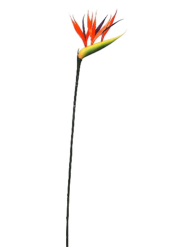 ストレリチア 造花